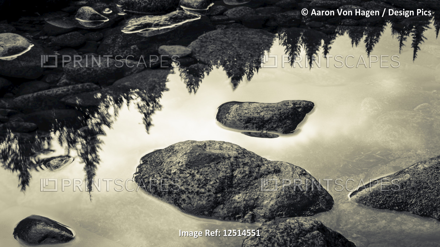 Surface of rocks in clear, shallow water and the reflection of trees from the ...