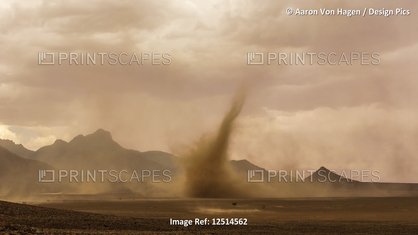 A dust devil in the desert; Sossusvlei, Hardap Region, Namibia