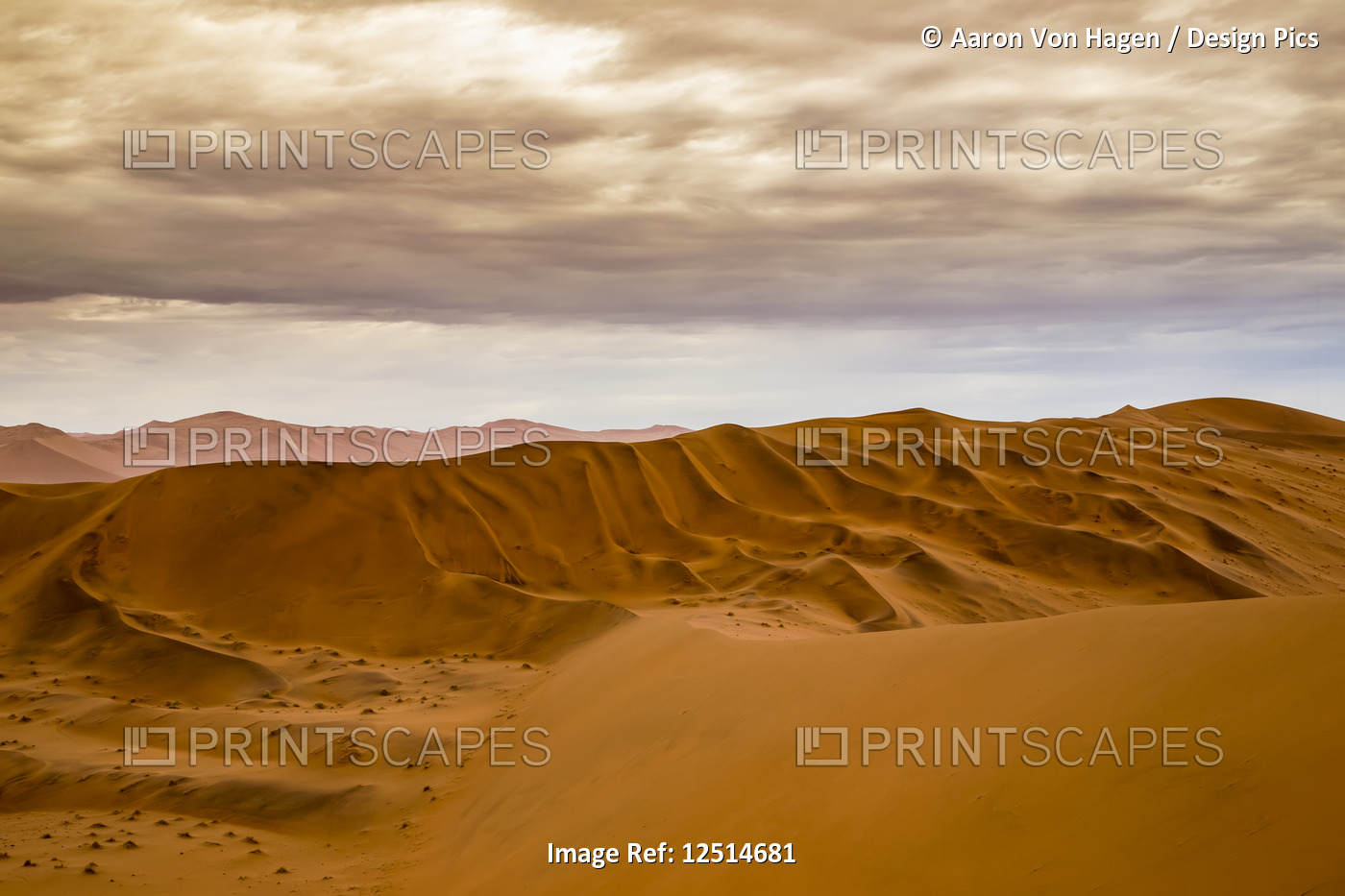 Red sand dunes in the Namib desert under a cloudy sky, Namib-Naukluft National ...