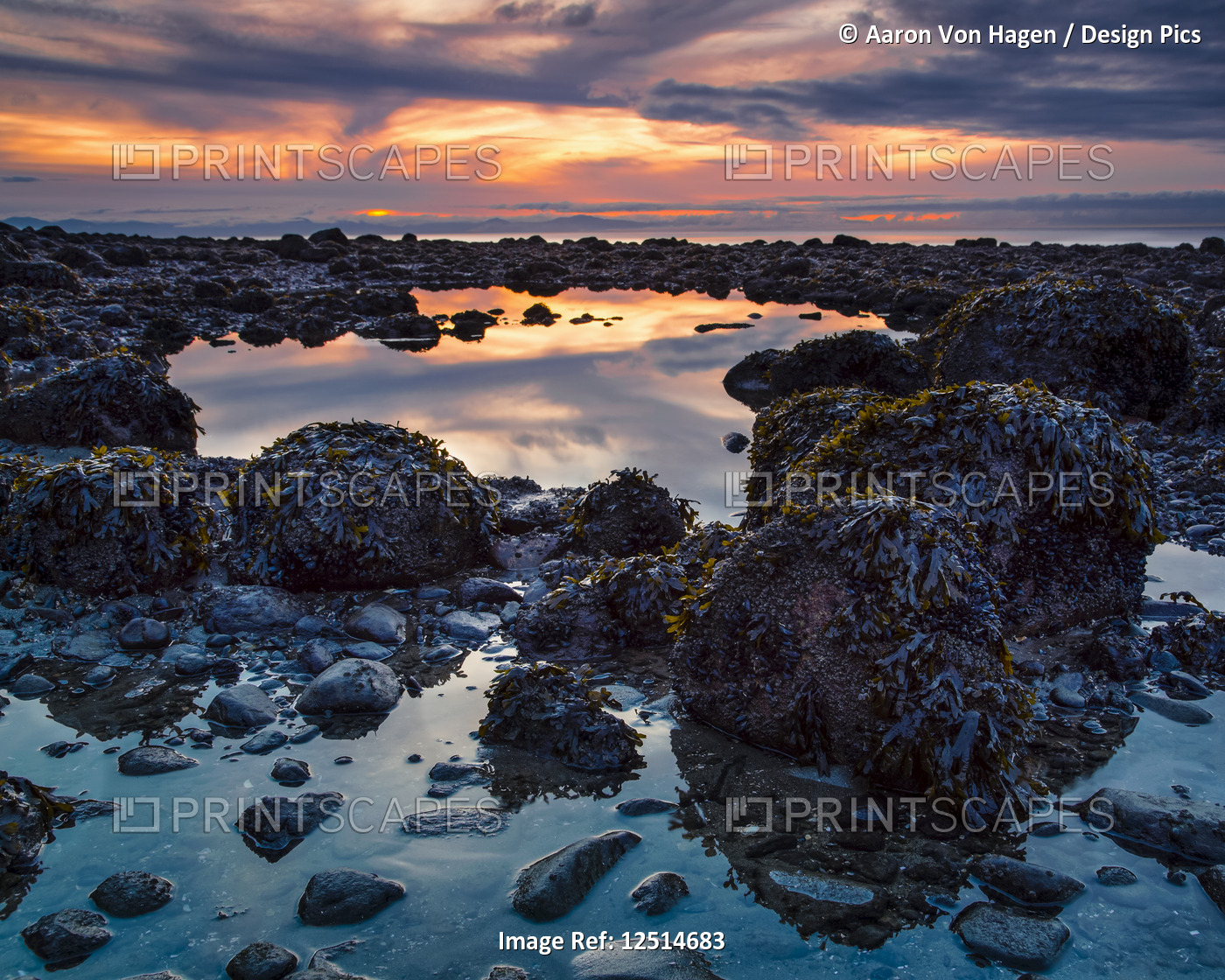 Warm colours from a sunset sky reflect in the tide pools on Acadia Beach; ...