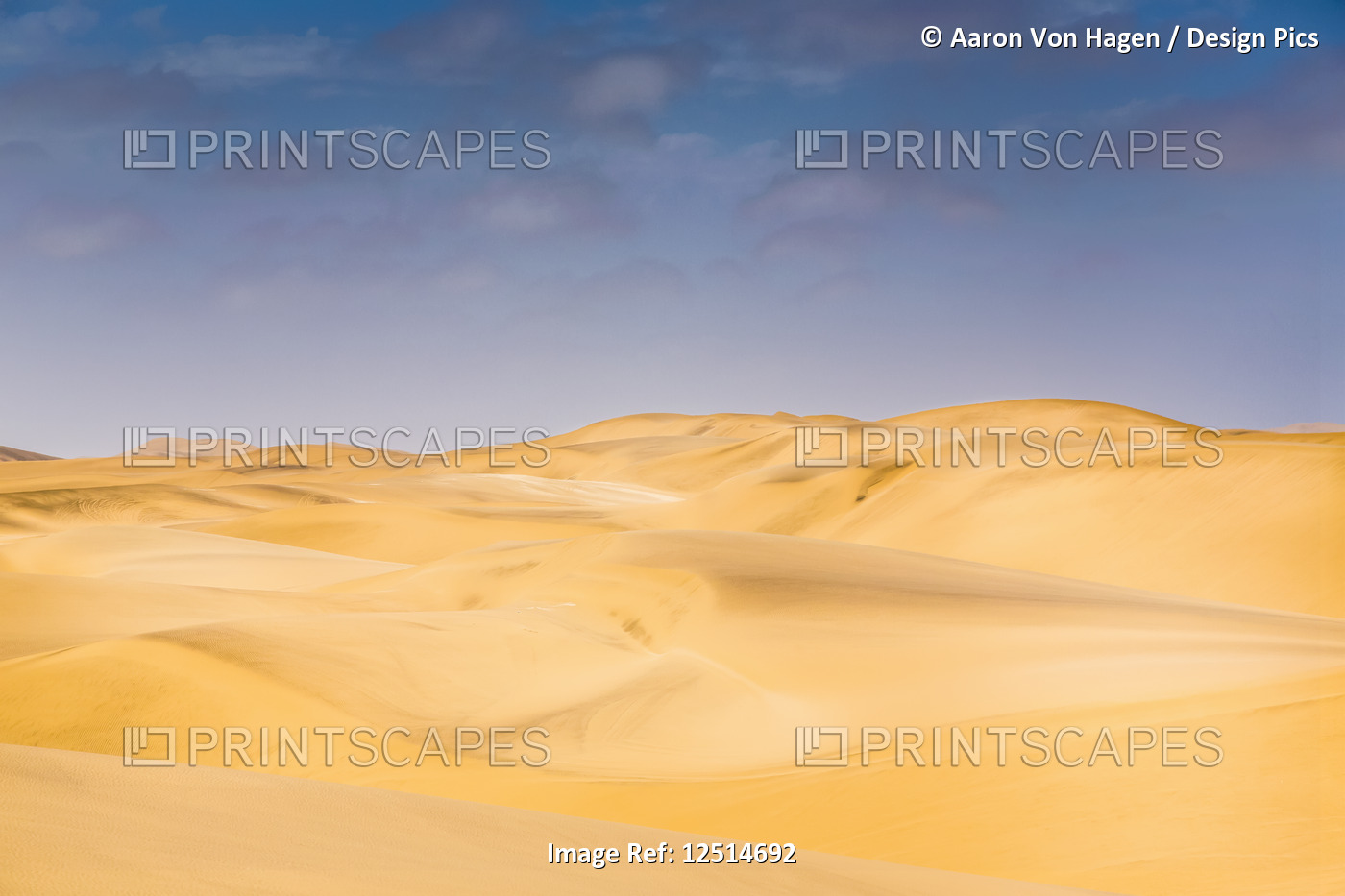 Golden sand dunes in the Namibia desert; Sossusvlei, Hardap Region, Namibia