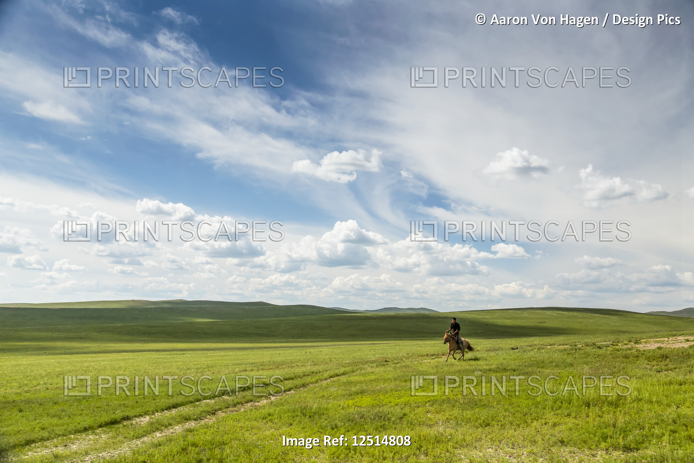 A horse and rider on the wide open grass fields; Ulaanbattar, Ulaanbaatar, ...