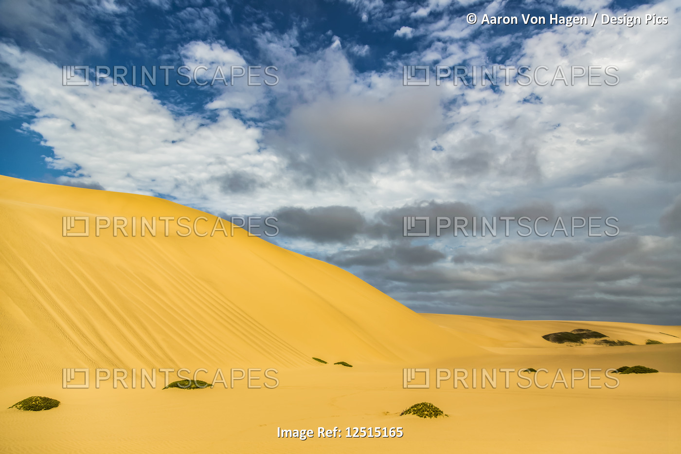 Golden sand dunes in the desert; Sossusvlei, Hardap Region, Namibia