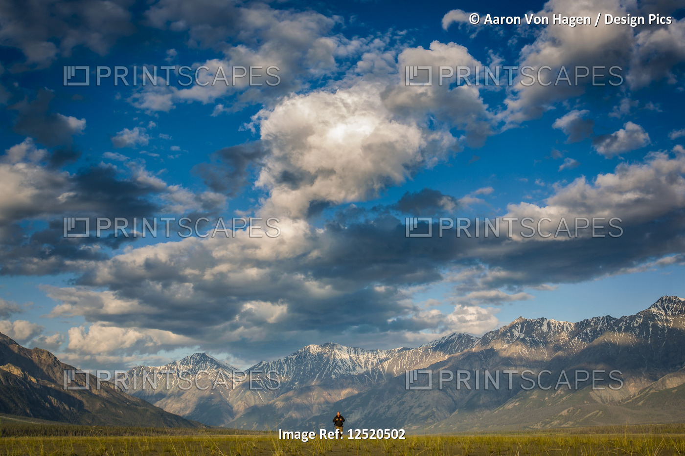 A man walks across a grass field with the majestic mountains of Kluane National ...
